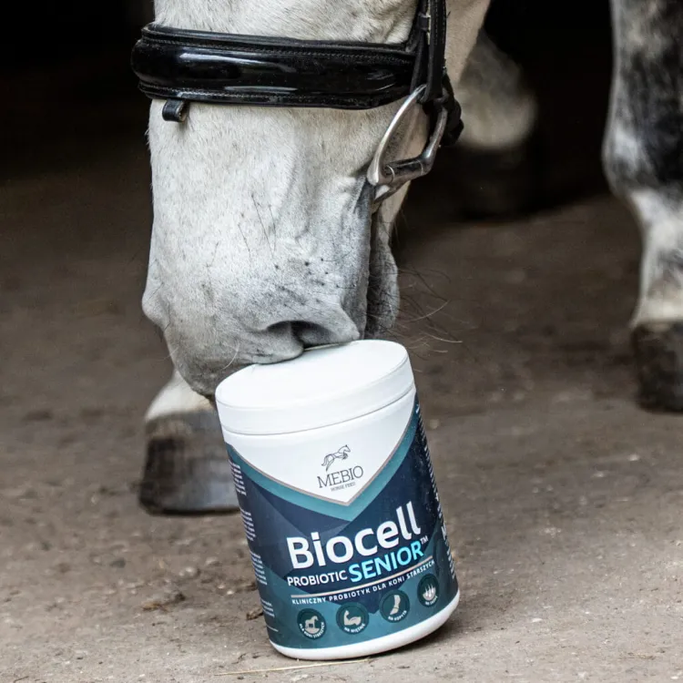 Suplement MEBIO Biocell Probiotic Senior 1kg probiotyk dla koni starszych
