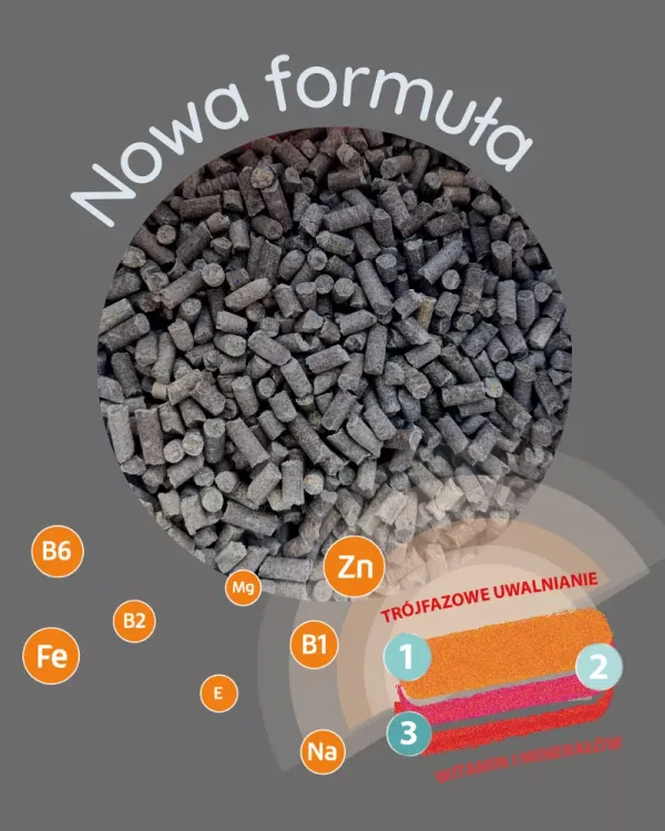 MEBIO Krzem Kieselgur MSM + Witamina C dla koni suplement na aparat ruchu opakowanie 1kg