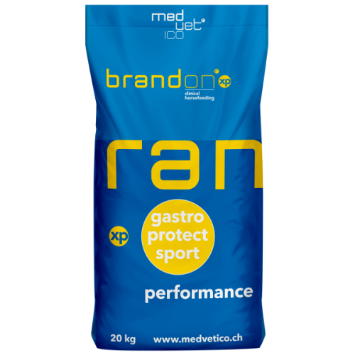 Brandon XP pasza dla konia musli 20 kg