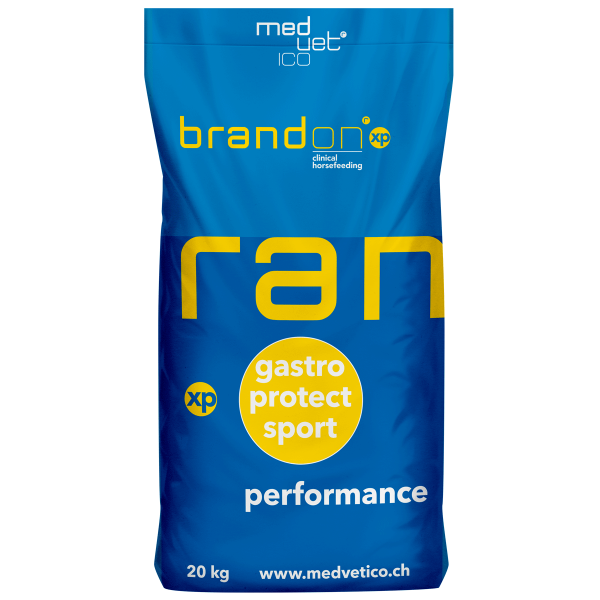 Brandon XP pasza dla konia musli 20 kg