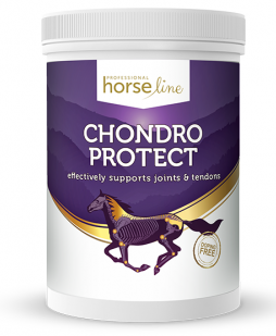 HorseLinePro ChondroProtect  suplement dla koni pojemność 0,9 kg