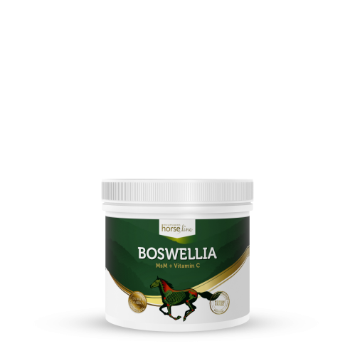HorseLinePRO Boswellia suplement dla koni pojemność 500g