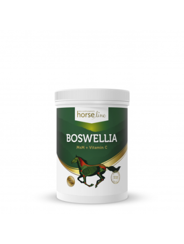 HorseLinePro BoswelliaSerrata suplement na regenerację aparatu ruchu koni opakowanie 900 g