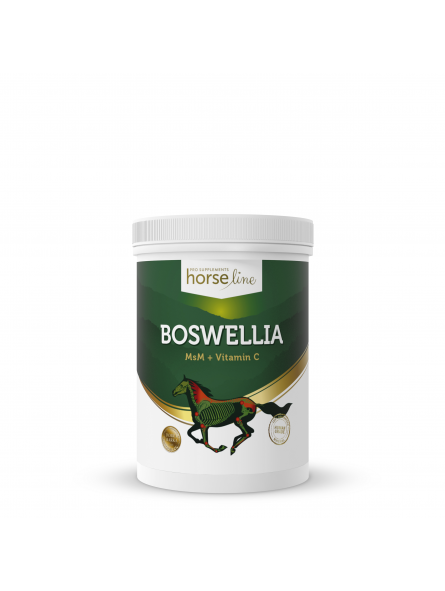 HorseLinePro BoswelliaSerrata suplement na regenerację aparatu ruchu koni opakowanie 900 g