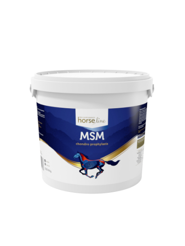 MSM  suplement wspierający aparat ruchu koni opakowanie 3 kg