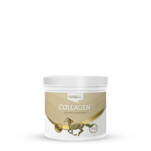 Kolagen dla koni 0,3kg suplement
