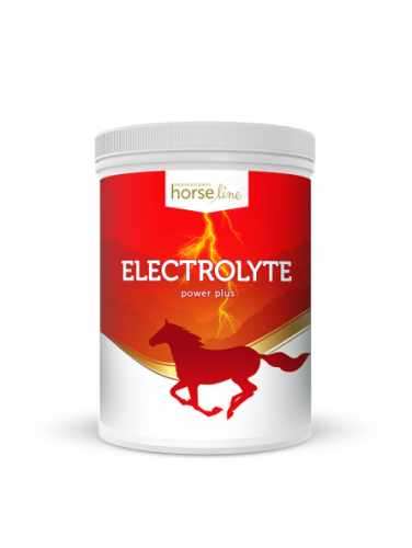 Electrolyte PowerPlus suplement dla koni opakowanie 1,5kg