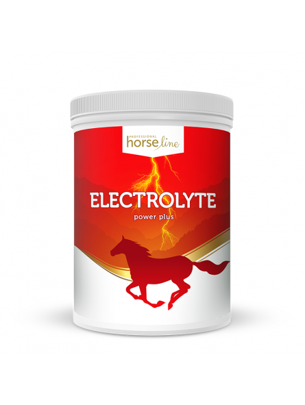 Electrolyte PowerPlus suplement dla koni opakowanie 1,5kg