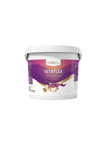 VitaFlex na aparat ruchu dla koni suplement 5 kg