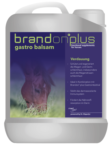 Gastro Balsam  suplement dla koni na wrzody pojemność 2.5l