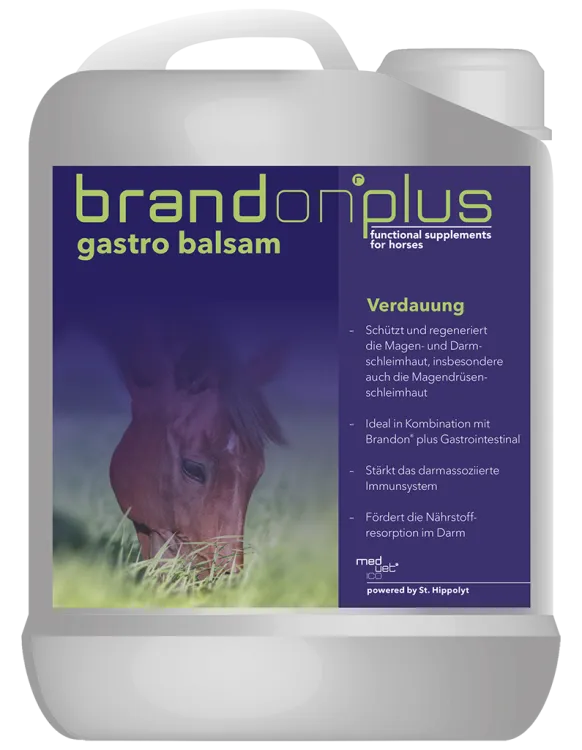 Gastro Balsam  suplement dla koni na wrzody pojemność 2.5l