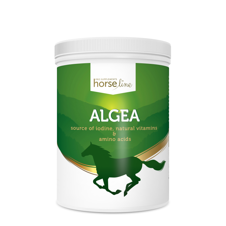 HorseLinePro Algea  źródło jodu dla koni suplement opakowanie 1.5kg
