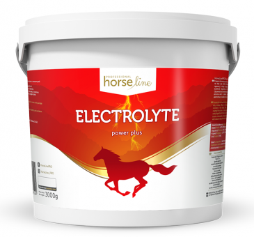 Electrolyte Power Plus  elektrolity dla koni suplement opakowanie 3 kg