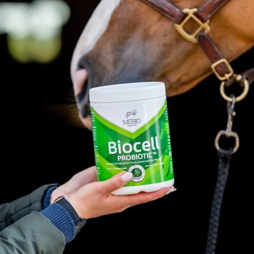 Probiotyk dla koni Biocell Complex 1kg