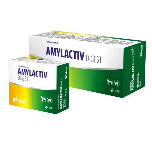 Amylactiv-Digest-30-i-120-kaps.webp