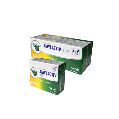 Amylactiv Digest suplement dla psów i koktów