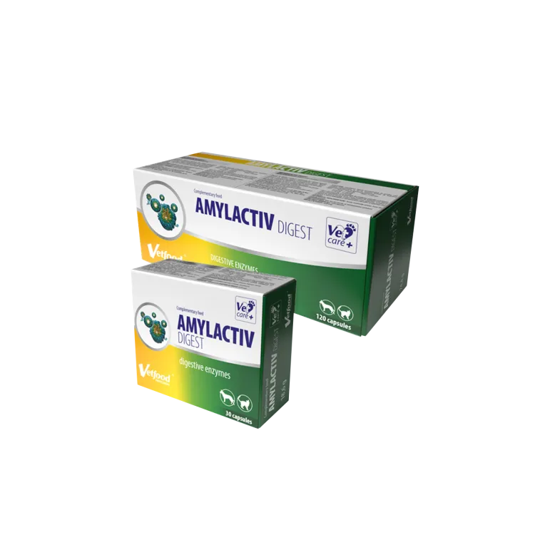 Amylactiv Digest suplement dla psów i koktów