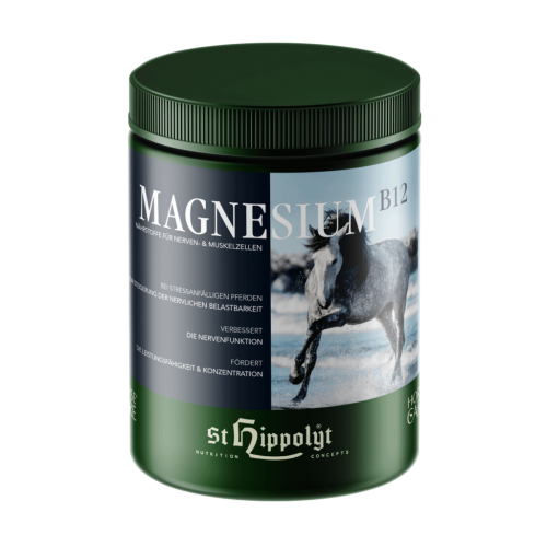 Magnesium-B12-1024x1024.png