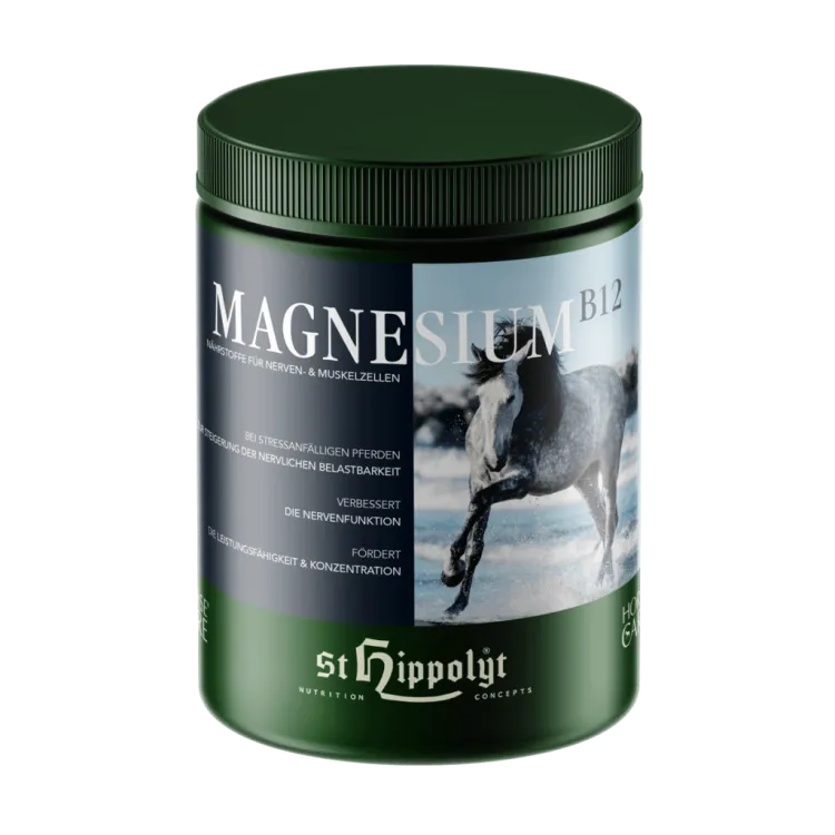 Magnesium-B12-1024x1024.png