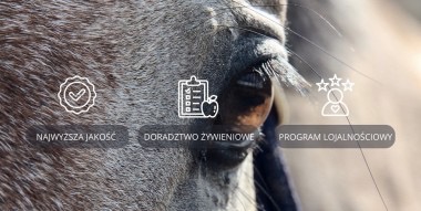 Najwyższa jakość żywienia