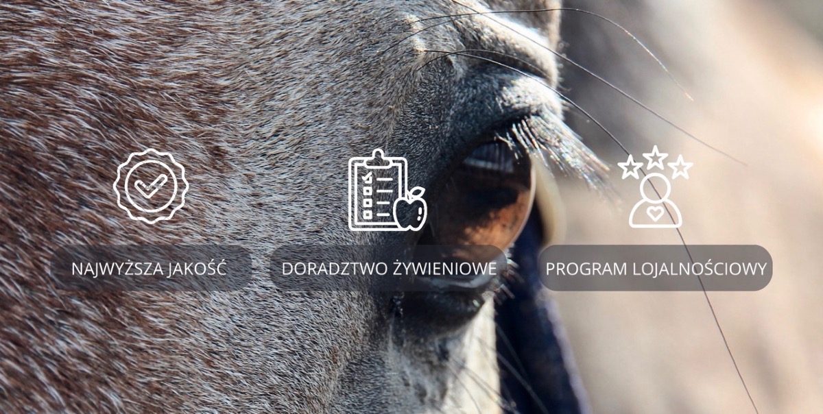 Najwyższa jakość żywienia